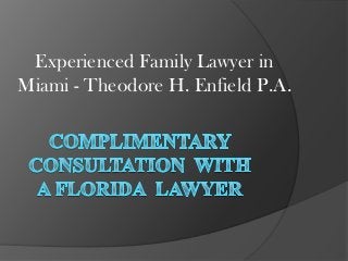 Experienced Family Lawyer in
Miami - Theodore H. Enfield P.A.

 