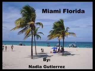 Miami Florida By: Nadia Gutierrez 