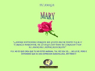 TU AMIGA: “ ¿¿AHORA ENTIENDES PORQUE ME GUSTA DECIR TANTO T.Q.M.?? Y CREELO PORFAVOR, TE LO DIGO CON TODO MI CORAZON Y EN EL AMOR DEL SEÑOR JESUCRISTO” P.D. NO ES QUE CREA QUE TU NO ESTES MAÑANA, TAL VEZ SEA YO,... NO LO SÈ, PERO E ENTENDIDO QUE ES UNA EXPRECION MARAVILLOSA,  EN VIDA!!! MARY 