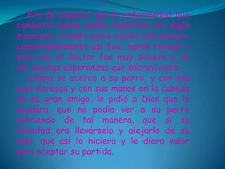 Era de esperar que la enfermedad que
combatió nerón podía repetirse en algún
momento, y hasta seria mucho más severa.
Lamentablemente así fue, nerón recayó y
esta vez el doctor fue muy sincero y no
dio muchas esperanzas que sobreviviera.
   Liliana se acerco a su perro, y con sus
ojos llorosos y con sus manos en la cabeza
de su gran amigo, le pidió a Dios que lo
ayudara, que no podía ver a su perro
sufriendo de tal manera, que si su
voluntad era llevárselo y alejarlo de su
lado, que así lo hiciera y le diera valor
para aceptar su partida.
 