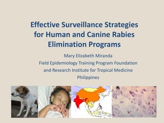 Effective Surveillance Strategies
for Human and Canine Rabies
Elimination Programs
Mary Elizabeth Miranda
Field Epidemiology Training Program Foundation
and Research Institute for Tropical Medicine
Philippines
 