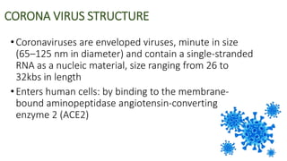 CORONA VIRUS STRUCTURE
•Coronaviruses are enveloped viruses, minute in size
(65–125 nm in diameter) and contain a single-stranded
RNA as a nucleic material, size ranging from 26 to
32kbs in length
•Enters human cells: by binding to the membrane-
bound aminopeptidase angiotensin-converting
enzyme 2 (ACE2)
 