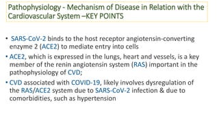 Pathophysiology - Mechanism of Disease in Relation with the
Cardiovascular System –KEY POINTS
• SARS-CoV-2 binds to the host receptor angiotensin-converting
enzyme 2 (ACE2) to mediate entry into cells
• ACE2, which is expressed in the lungs, heart and vessels, is a key
member of the renin angiotensin system (RAS) important in the
pathophysiology of CVD;
• CVD associated with COVID-19, likely involves dysregulation of
the RAS/ACE2 system due to SARS-CoV-2 infection & due to
comorbidities, such as hypertension
 
