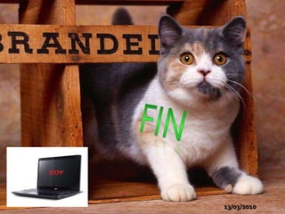 FIN                                               13/03/2010