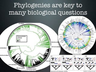 Phylogenies are key to
many biological questions
Edwards & Smith 2010
Jetz et al 2012
Emerson & Gillespie, 2008
 