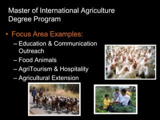 Master of International Agriculture
Degree Program

• Focus Area Examples:
  – Education & Communication
    Outreach
  – Food Animals
  – AgriTourism & Hospitality
  – Agricultural Extension
 