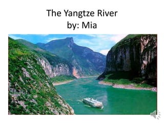 The Yangtze River
     by: Mia
 