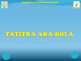 Tranoben’ny Tantsaha Amoron’i Mania
 