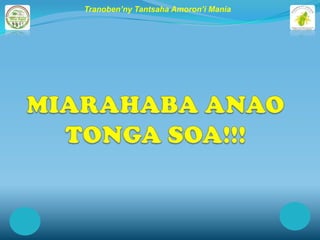Tranoben’ny Tantsaha Amoron’i Mania
 
