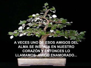 A VECES UNO DE ESOS AMIGOS DEL ALMA SE INSTALA EN NUESTRO CORAZÓN Y ENTONCES LO LLAMAMOS  AMIGO ENAMORADO... 