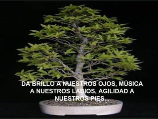 DA BRILLO A NUESTROS OJOS, MÚSICA A NUESTROS LABIOS, AGILIDAD A NUESTROS PIES... 
