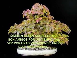 TAMBIÉN ESTÁN AQUELLOS QUE SON AMIGOS POR UN TIEMPO, TAL VEZ POR UNAS VACACIONES, UNOS DÍAS, UNAS HORAS... 