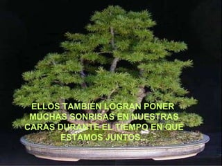 ELLOS TAMBIÉN LOGRAN PONER  MUCHAS SONRISAS EN NUESTRAS CARAS DURANTE EL TIEMPO EN QUE ESTAMOS JUNTOS... 