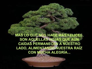 MAS LO QUE NOS HACE MÁS FELICES, SON AQUELLAS HOJAS QUE AUN CAÍDAS PERMANECEN A NUESTRO LADO, ALIMENTANDO NUESTRA RAÍZ CON MUCHA ALEGRÍA... 