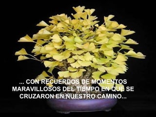 ... CON RECUERDOS DE MOMENTOS MARAVILLOSOS DEL TIEMPO EN QUE SE CRUZARON EN NUESTRO CAMINO... 