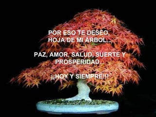 POR ESO TE DESEO,  HOJA DE MI ÁRBOL... PAZ, AMOR, SALUD, SUERTE Y PROSPERIDAD... ¡¡HOY Y SIEMPRE!!! 