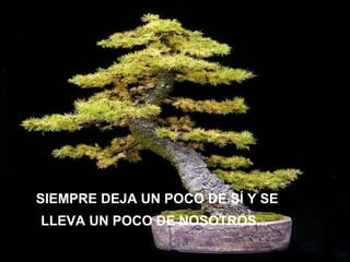 SIEMPRE DEJA UN POCO DE SÍ Y SE LLEVA UN POCO DE NOSOTROS...   