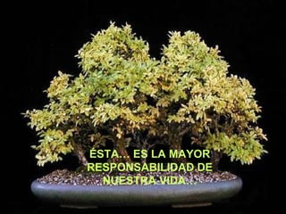 ÉSTA… ES LA MAYOR RESPONSABILIDAD DE NUESTRA VIDA… 