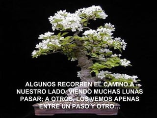 ALGUNOS RECORREN EL CAMINO A NUESTRO LADO, VIENDO MUCHAS LUNAS PASAR; A OTROS, LOS VEMOS APENAS ENTRE UN PASO Y OTRO… 