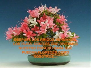DESPUÉS LOS AMIGOS HERMANOS, LOS HIJOS, CON LOS QUE DIVIDIMOS NUESTRO ESPACIO PARA QUE PUEDAN FLORECER COMO NOSOTROS… 
