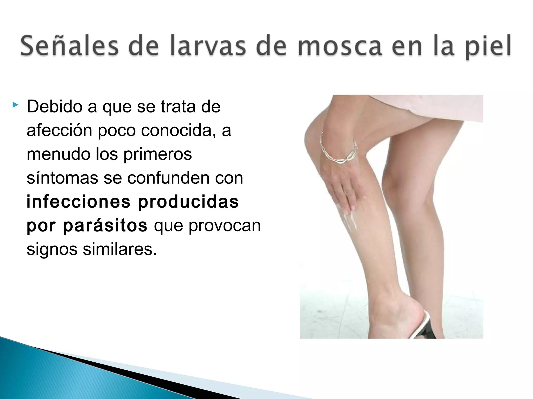 Miasis: enfermedad parasitaria causada por larvas de mosca | PPT