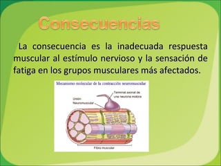 La consecuencia es la inadecuada respuesta muscular al estímulo nervioso y la sensación de fatiga en los grupos musculares más afectados. 
