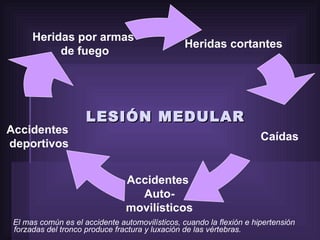 LESIÓN MEDULAR El mas común es el accidente automovilísticos, cuando la flexión e hipertensión forzadas del tronco produce fractura y luxación de las vértebras.  Heridas cortantes Caídas Accidentes  Auto- movilísticos Heridas por armas  de fuego Accidentes  deportivos 