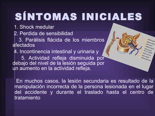 SÍNTOMAS INICIALES 1. Shock medular 2. Perdida de sensibilidad 3. Parálisis flácida de los miembros afectados 4. Incontinencia intestinal y urinaria y 5. Actividad refleja disminuida por debajo del nivel de la lesión seguida por un aumento en la actividad refleja. En muchos casos, la lesión secundaria es resultado de la manipulación incorrecta de la persona lesionada en el lugar del accidente y durante el traslado hasta el centro de tratamiento 