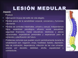 LESIÓN MEDULAR Impacto Produce Interrupción brusca del estilo de vida elegido. Pérdida grave de la sensibilidad corporal, conciencia y funciones voluntarias Pérdida de controles intestinales, urinario y sexual, independencia física, estabilidad psicológica, eficacia social, sexualidad, seguridad financiera, metas educativas, destrezas y planes vocacionales, expectativas personales y esperanzas para el contenido y planificación del futuro.  Problemas comunes que pueden ocurrir periódicamente durante la rehabilitación son: negación, enojo, hostilidad, fastidio, depresión, falta de motivación, dependencia, infección de las vías urinarias, ulceras por decúbito, debilidad, atrofia, espasticidad y contracturas. 