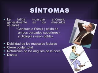 SÍNTOMAS La fatiga muscular anómala, generalmente en los músculos oculares. *Conduce a Ptosis ( caida de ambos parpados superiores) y Diplopia (visión doble). Debilidad de los músculos faciales Cierre ocular total Retracción de los ángulos de la boca. Disnea  