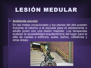 LESIÓN MEDULAR Ambiente escolar En las metas vocacionales y los planes del alta pueden incluirse el retorno a la escuela para el adolescente o adulto joven con una lesión medular. Los terapeutas evalúan la accesibilidad arquitectónica del lugar para la silla de ruedas a edificios, aulas, baños, cafeterías y otras áreas. 