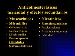 Anticolinesterásicos toxicidad y efectos secundarios Muscarínicos Músculo liso Cólicos-diarrea Nausea,vómito Miosis pupilar Broncoespasmo Glandulas Sialorrea,diaforesis Nicotínicos Musculoesqueletico s Fasciculaciones Espasmos musculares debilidad 