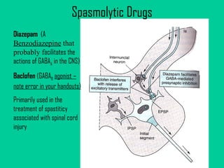 Diazepam  (A  Benzodiazepine  that probably f acilitates the actions of GABA A  in the CNS) Baclofen  (GABA B   agonist – note error in your handouts) Primarily used in the treatment of spastiticy associated with spinal cord injury  Spasmolytic Drugs 