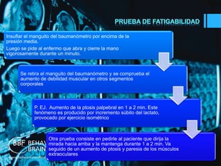 Insuflar el manguito del baumanómetro por encima de la 
presión media. 
Luego se pide al enfermo que abra y cierre la mano 
vigorosamente durante un minuto. 
Se retira el manguito del baumanómetro y se comprueba el 
aumento de debilidad muscular en otros segmentos 
corporales 
P. EJ. Aumento de la ptosis palpebral en 1 a 2 min. Este 
fenómeno es producido por incremento súbito del lactato, 
provocado por ejercicio isométrico 
Otra prueba consiste en pedirle al paciente que dirija la 
mirada hacia arriba y la mantenga durante 1 a 2 min. Va 
seguido de un aumento de ptosis y paresia de los músculos 
extraoculares 
 