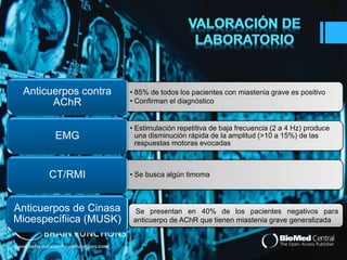 • 85% de todos los pacientes con miastenia grave es positivo 
• Confirman el diagnóstico 
Anticuerpos contra 
AChR 
• Estimulación repetitiva de baja frecuencia (2 a 4 Hz) produce 
una disminución rápida de la amplitud (>10 a 15%) de las 
respuestas motoras evocadas 
EMG 
CT/RMI • Se busca algún timoma 
Anticuerpos de Cinasa 
Mioespecífiica (MUSK) 
Se presentan en 40% de los pacientes negativos para 
anticuerpo de AChR que tienen miastenia grave generalizada 
 