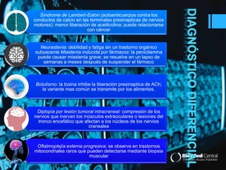 Síndrome de Lambert-Eaton (autoanticuerpos contra los 
conductos de calcio en las terminales presinapticas de nervios 
motores): menor liberación de acetilcolina; puede relacionarse 
con cáncer 
Neurastenia: debilidad y fatiga sin un trastorno orgánico 
subyacente Miastenia inducida por fármacos: la penicilamina 
puede causar miastenia grave; se resuelve en un lapso de 
semanas a meses después de suspender el fármaco 
Botulismo: la toxina inhibe la liberación presinaptica de ACh; 
la variante mas común se transmite por los alimentos. 
Diplopía por lesión tumoral intracraneal: compresión de los 
nervios que inervan los músculos extraoculares o lesiones del 
tronco encefálico que afectan a los núcleos de los nervios 
craneales 
Oftalmoplejía externa progresiva: se observa en trastornos 
mitocondriales raros que pueden detectarse mediante biopsia 
muscular 
 