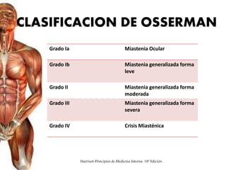 Grado Ia Miastenia Ocular
Grado Ib Miastenia generalizada forma
leve
Grado II Miastenia generalizada forma
moderada
Grado III Miastenia generalizada forma
severa
Grado IV Crisis Miasténica
CLASIFICACION DE OSSERMAN
Harrison Principios de Medicina Interna. 18ª Edición.
 