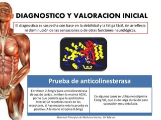 DIAGNOSTICO Y VALORACION INICIAL
Prueba de anticolinesterasa
Edrofonio 2-8mgIV (una anticolinesterasa
de acción corta):, inhiben la enzima AChE,
por lo que permite que la acetilcolina
interactúe repetidas veces en los
receptores, si hay mejoría neta la prueba es
positiva.(A la mano atropina 0.6mg)
En algunos casos se utiliza neostigmina
15mg VO, que es de larga duración para
valoración mas detallada.
El diagnostico se sospecha con base en la debilidad y la fatiga fácil, sin arreflexia
ni disminución de las sensaciones o de otras funciones neurológicas.
Harrison Principios de Medicina Interna. 18ª Edición.
 