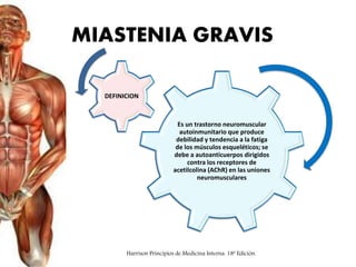 MIASTENIA GRAVIS
Es un trastorno neuromuscular
autoinmunitario que produce
debilidad y tendencia a la fatiga
de los músculos esqueléticos; se
debe a autoanticuerpos dirigidos
contra los receptores de
acetilcolina (AChR) en las uniones
neuromusculares
DEFINICION
Harrison Principios de Medicina Interna. 18ª Edición.
 