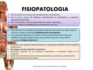  Disminución en el numero de receptores de la acetilcolina.
 Por lo que a pesar de liberarse normalmente la Acetilcolina, se generan
pequeños potenciales.
 Que no alcanzan a inducir potenciales de acción musculares.
 Lo que culmina en debilidad de la contracción muscular.
 Normalmente la cantidad de acetilcolina liberada disminuye con cada impulso,
cuando se repite la actividad.(debilitamiento presinaptico)
 En el paciente Miasténico la menor eficiencia de la transmisión mas este
debilitamiento presinaptico hace que se activen cada vez menos fibras
musculares.(Fatiga miastenica).
 Se produce una respuesta autoinmunitarias por anticuerpos específicos contra receptores
acetilcolinicos.
 Este ataque se da por medio de 3 mecanismos:
 1.Recambio acelerado de los receptores acetilcolinicos y endocitosis rápida de los
receptores.
 2.Daño de la membrana muscular postsinaptica.(dada por anticuerpos y complemento).
 3.bloqueo del sitio activo del receptor.
FISIOPATOLOGIA
Harrison Principios de Medicina Interna. 18ª Edición.
 
