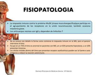  La respuesta inmune contra la proteína MuSK (cinasa musculoespecifica)que participa en
el agrupamiento de los receptores en la unión neuromuscular, también ocasiona
miastenia grave.
 Los anticuerpos nocivos son IgG y dependen de linfocitos T
 No se conoce con detalle la forma como comienza la respuesta inmune en la MG, pero al parecer
interviene el timo.
 Ya que en un 75% el timo es anormal en pacientes con MG ,en un 65% presenta hiperplasia, y un 10%
presentan timomas.
 Las células mioides dentro del timo que presentan receptor acetilcolinico pueden ser la fuente e auto
antígenos e inducir la reacción autoinmune.
FISIOPATOLOGIA
Harrison Principios de Medicina Interna. 18ª Edición.
 