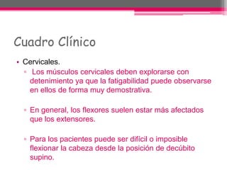 Cuadro Clínico
• Cervicales.
▫ Los músculos cervicales deben explorarse con
detenimiento ya que la fatigabilidad puede observarse
en ellos de forma muy demostrativa.
▫ En general, los flexores suelen estar más afectados
que los extensores.
▫ Para los pacientes puede ser difícil o imposible
flexionar la cabeza desde la posición de decúbito
supino.
 