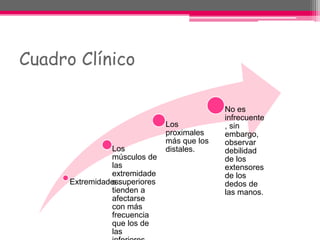 Cuadro Clínico
Extremidades.
Los
músculos de
las
extremidade
s superiores
tienden a
afectarse
con más
frecuencia
que los de
las
Los
proximales
más que los
distales.
No es
infrecuente
, sin
embargo,
observar
debilidad
de los
extensores
de los
dedos de
las manos.
 