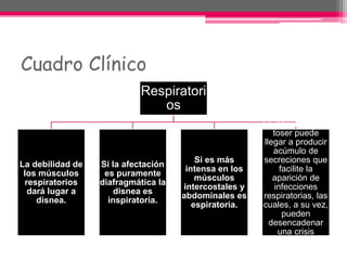 Cuadro Clínico
Respiratori
os
La debilidad de
los músculos
respiratorios
dará lugar a
disnea.
Si la afectación
es puramente
diafragmática la
disnea es
inspiratoria.
Si es más
intensa en los
músculos
intercostales y
abdominales es
espiratoria.
La dificultad para
toser puede
llegar a producir
acúmulo de
secreciones que
facilite la
aparición de
infecciones
respiratorias, las
cuales, a su vez,
pueden
desencadenar
una crisis
miasténica.
 