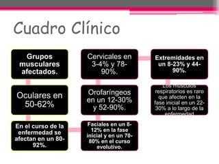 Cuadro Clínico
Grupos
musculares
afectados.
Oculares en
50-62%
En el curso de la
enfermedad se
afectan en un 80-
92%.
Faciales en un 8-
12% en la fase
inicial y en un 70-
80% en el curso
evolutivo.
Orofaríngeos
en un 12-30%
y 52-90%.
Cervicales en
3-4% y 78-
90%.
Extremidades en
un 8-23% y 44-
90%.
Los músculos
respiratorios es raro
que afecten en la
fase inicial en un 22-
30% a lo largo de la
enfermedad
 