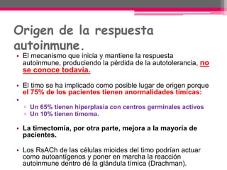 Origen de la respuesta
autoinmune.
• El mecanismo que inicia y mantiene la respuesta
autoinmune, produciendo la pérdida de la autotolerancia, no
se conoce todavía.
• El timo se ha implicado como posible lugar de origen porque
el 75% de los pacientes tienen anormalidades tímicas:
•
▫ Un 65% tienen hiperplasia con centros germinales activos
▫ Un 10% tienen timoma.
• La timectomía, por otra parte, mejora a la mayoría de
pacientes.
• Los RsACh de las células mioides del timo podrían actuar
como autoantígenos y poner en marcha la reacción
autoinmune dentro de la glándula tímica (Drachman).
 