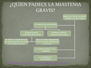 ¿QUIEN PADECE LA MIASTENIA GRAVIS? http://espanol.ninds.nih.gov/trastornos/miastenia_gravis.htm Aparece en todos los grupos  Sociales y en los 2 sexos La mayoría de casos afecta A: La miastenia gravis no es  contagiosa La miastenia no  es hereditaria Mujeres jóvenes  ( menores de 40 años) En el feto se puede heredar Los anticuerpos de una madre Con miastenia gravis Hombres maduros  (mayores de 60 años) Estos síntomas desaparecen  Unas semanas después del nacimiento 