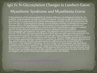 IgG Fc N - Glycosylation Changes in Lambert-Eaton Myasthenic Syndrome and Myasthenia Gravis   N - glycosylation of the immunoglobulin Fc moiety influences its biological activity by, for example, modulating the interaction with Fc receptors. Changes in IgG glycosylation have been found to be associated with various inflammatory diseases. Here we evaluated for the first time IgG Fc N - glycosylation changes in well-defined antibody-mediated autoimmune diseases, that is, the neurological disorders Lambert-Eaton myasthenic syndrome and myasthenia gravis, with antibodies to muscle nicotinic acetylcholine receptors or muscle-specific kinase. IgGs were purified from serum or plasma by protein A affinity chromatography and digested with trypsin. Glycopeptides were purified and analyzed by MALDI-FTICR−MS. Glycoform distributions of both IgG1 and IgG2 were determined for 229 patients and 56 controls. We observed an overall age and sex dependency of IgG Fc N - glycosylation, which was in accordance with literature. All three disease groups showed lower levels of IgG2 galactosylation compared to controls. In addition, LEMS patients showed lower IgG1 galactosylation. Notably, the galactosylation differences were not paralleled by a difference in IgG sialylation. Moreover, the level of IgG core-fucosylation and bisecting  N- acetylglucosamine were evaluated. The control and disease groups revealed similar levels of IgG Fc core-fucosylation. Interestingly, LEMS patients below 50 years showed elevated levels of bisecting  N- acetylglucosamine on IgG1 and IgG2, demonstrating for the first time the link of changes in the level of bisecting  N- acetylglucosamine with disease.  http://pubs.acs.org/doi/abs/10.1021/pr1004373 