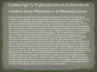 Cambios IgG Fc N-glicosilación en el síndrome de Lambert-Eaton Miasténico y la Miastenia Gravis   N-glicosilación de la fracción Fc de inmunoglobulina influye en su actividad biológica, por ejemplo, la modulación de la interacción con los receptores Fc. Los cambios en la glicosilación de IgG se han encontrado para ser asociado con diversas enfermedades inflamatorias. Aquí se evaluó por primera vez IgG Fc N-glicosilación en los cambios bien definidos enfermedades autoinmunes mediadas por anticuerpos, es decir, los trastornos neurológicos síndrome de Lambert-Eaton y la miastenia gravis, con anticuerpos contra receptores nicotínicos de acetilcolina del músculo o de músculos específicos-quinasa . IgG se purificaron a partir de suero o plasma por cromatografía de afinidad con proteína y digerido por la tripsina. Glicopéptidos fueron purificados y analizados por MALDI-FTICR-MS. Glycoform distribuciones de ambos IgG1 e IgG2 se determinaron para 229 pacientes y 56 controles. Se observó un total en edad de sexo y la dependencia de IgG Fc N-glicosilación, que estaba de acuerdo con la literatura. Los tres grupos de enfermedades mostraron niveles más bajos de IgG2 galactosilación comparación con los controles. Además, los pacientes mostraron menor SMEL galactosilación IgG1. En particular, las diferencias galactosilación no han ido por una diferencia de sialilación IgG. Además, el nivel del núcleo de IgG fucosylation y bisectriz N-acetilglucosamina se evaluaron. El control y grupos de enfermedades revelaron niveles similares de IgG Fc-fucosylation núcleo. Curiosamente, SMEL pacientes menores de 50 años mostraron niveles elevados de N-acetilglucosamina bisectriz de IgG1 e IgG2, lo que demuestra por primera vez el vínculo de los cambios en el nivel de N-acetilglucosamina bisectriz con la enfermedad. http:// pubs.acs.org / doi / abs /10.1021/pr1004373 