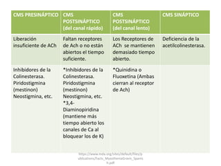 CMS PRESINÁPTICO CMS
POSTSINÁPTICO
(del canal rápido)
CMS
POSTSINÁPTICO
(del canal lento)
CMS SINÁPTICO
Liberación
insuficiente de ACh
Faltan receptores
de Ach o no están
abiertos el tiempo
suficiente.
Los Receptores de
ACh se mantienen
demasiado tiempo
abierto.
Deficiencia de la
acetilcolinesterasa.
Inhibidores de la
Colinesterasa.
Piridostigmina
(mestinon)
Neostigmina, etc.
*Inhibidores de la
Colinesterasa.
Piridostigmina
(mestinon)
Neostigmina, etc.
*3,4-
Diaminopiridina
(mantiene más
tiempo abierto los
canales de Ca al
bloquear los de K)
*Quinidina o
Fluoxetina (Ambas
cierran al receptor
de Ach)
https://www.mda.org/sites/default/files/p
ublications/Facts_MyastheniaGravis_Spanis
h.pdf
 